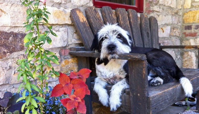 Фото Talus Rock Retreat