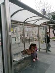 İett Durağı - Birlik Caddesi (Fatih Mah., Ondokuz Mayıs Blv., No:35C, Esenyurt, İstanbul), toplu taşıma durağı  Esenyurt'tan