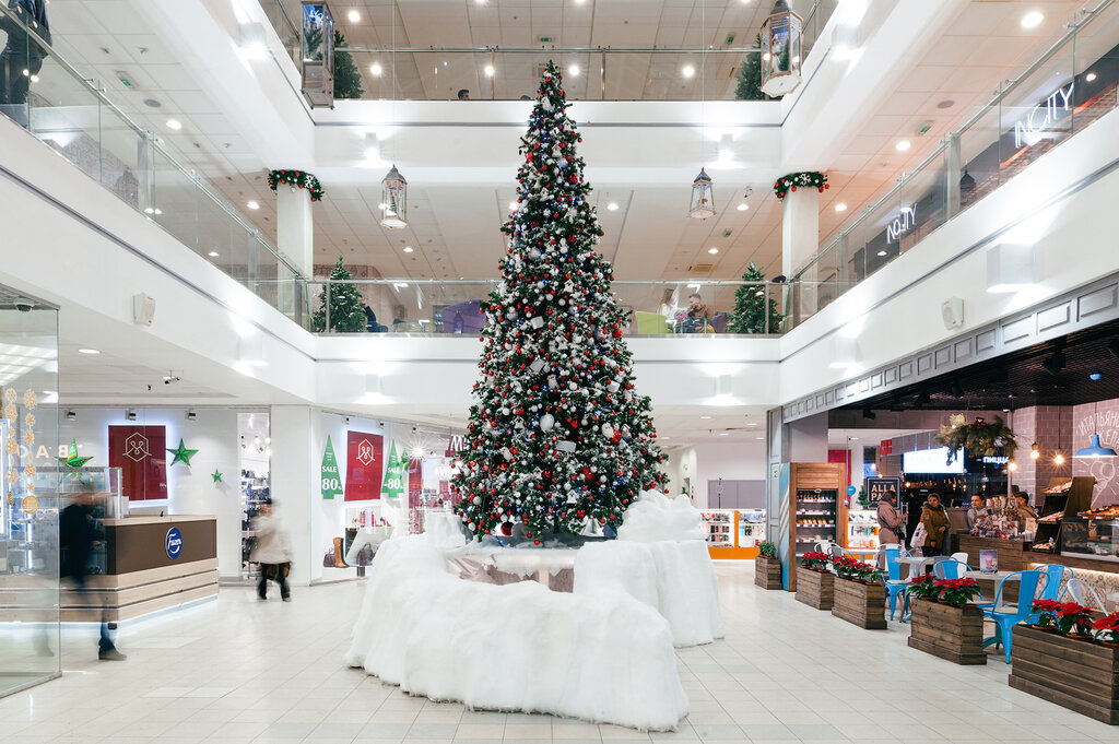 Shopping mall Malina, Ryazan, photo