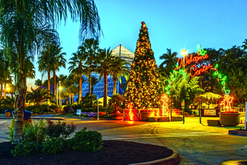 Фото Moody Gardens Hotel, SPA and Convention Center