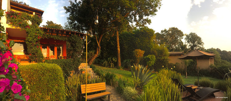 Фото Las Luciérnagas