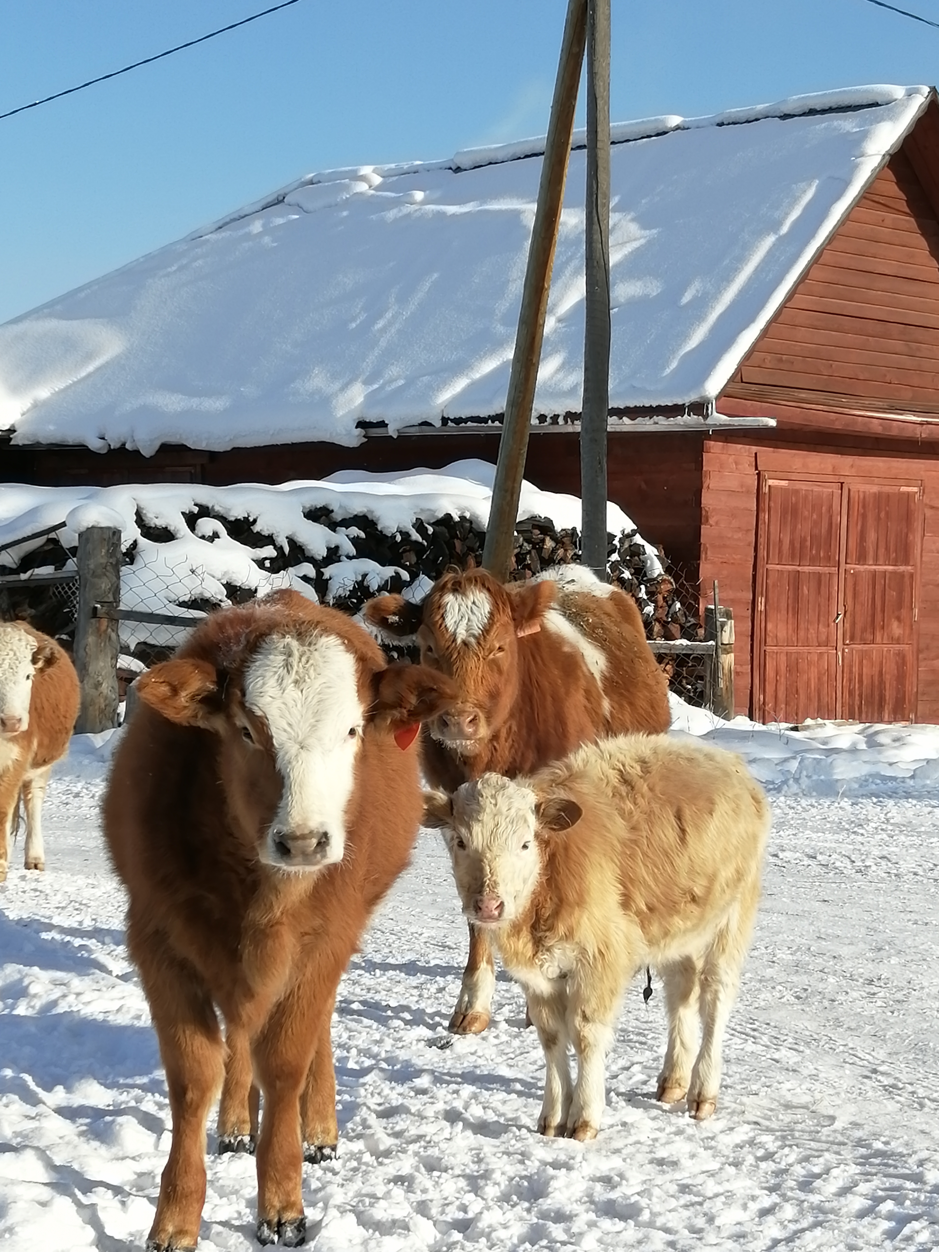 Фото Мультинское раздолье