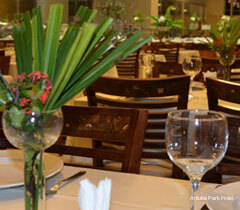 Фото Arituba Park Hotel