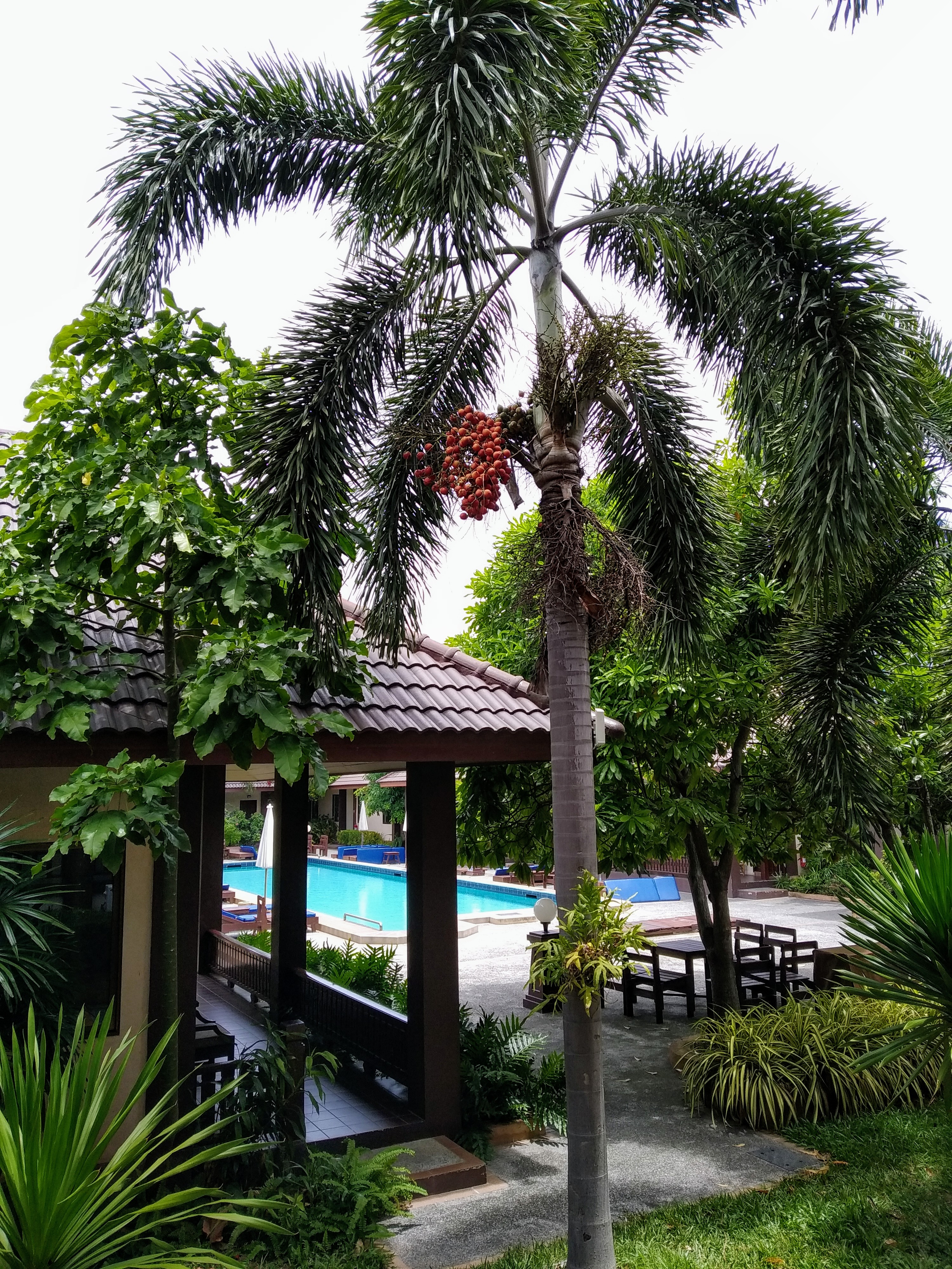 Фото Rose Bay Resort