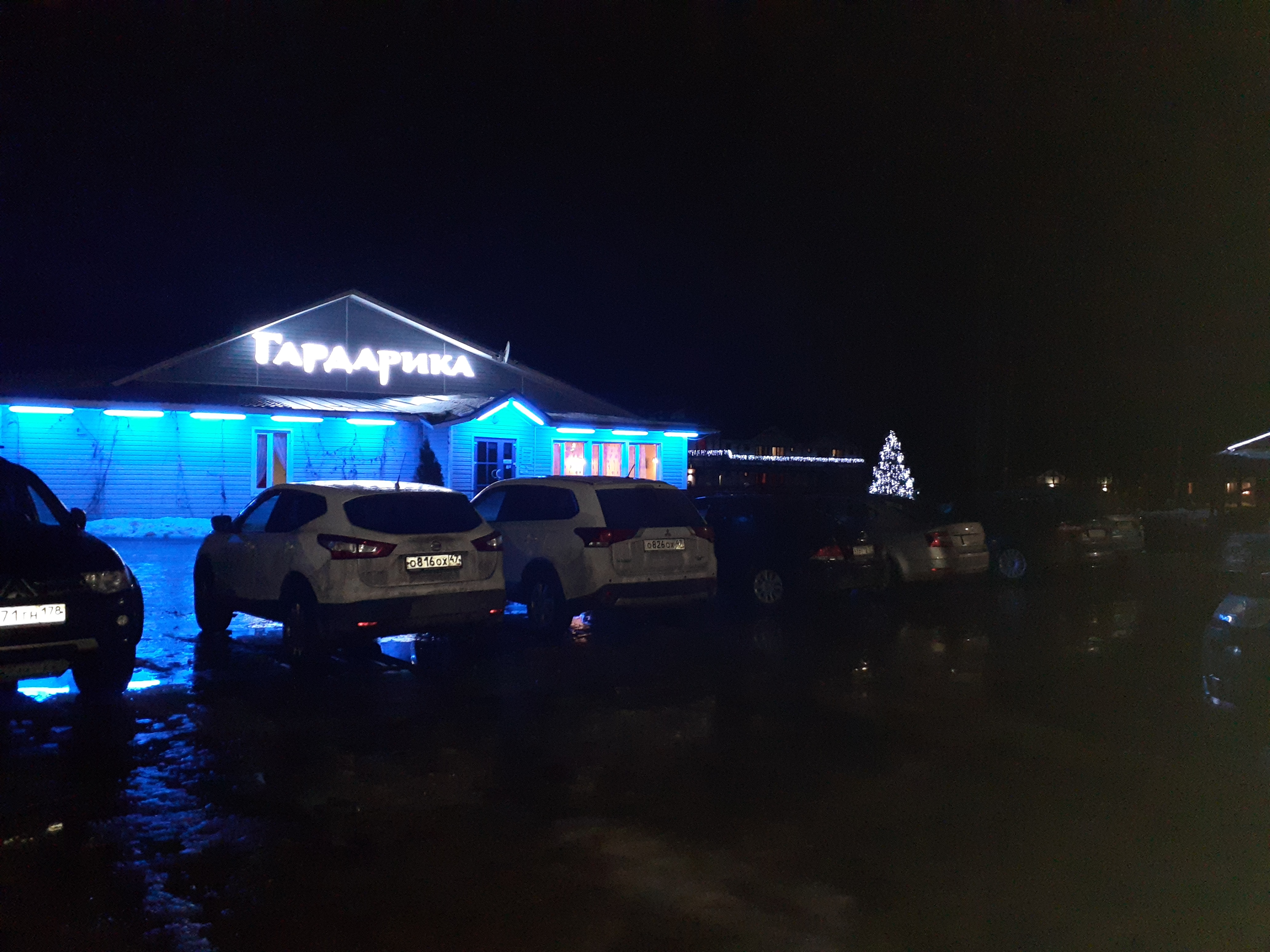 Фото Отель-клуб Гардарика