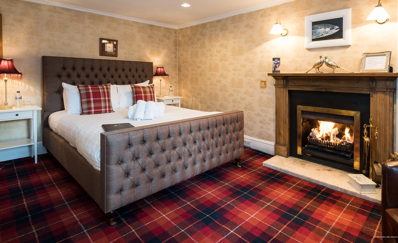 Фото Comfort Suites Lake Jackson Clute