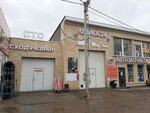 Car Service (Nemtsovo Village, 28), car service, auto repair