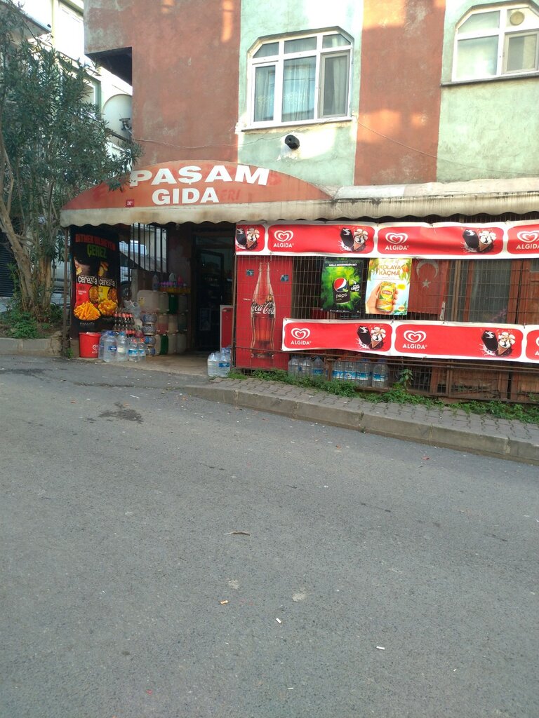 Grocery Paşam Gıda, Gaziosmanpasa, photo