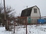 СНТ Золотая осень (Kurskiy District, Mokovskiy selsovet, SNT Zolotaya Osen), asociaciones y sociedades hortícolas