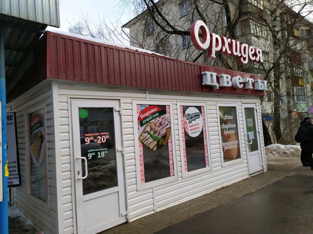 Попова 1 Киров Магазин