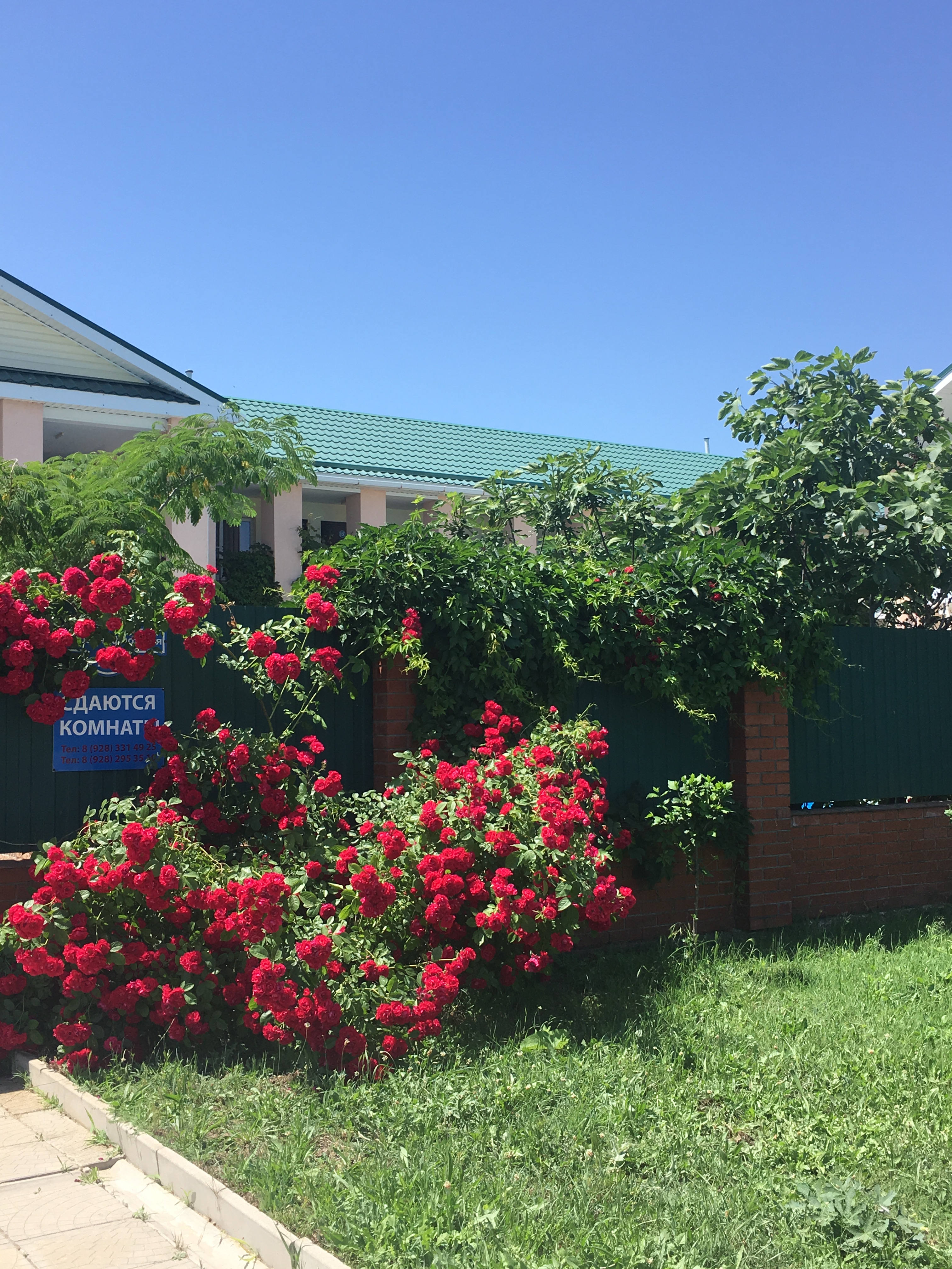 Фото Даурия