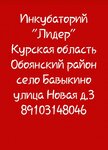 Инкубаторий Лидер: Продажа населению суточных бройлеров, утят, гусят (д. Бавыкино, Новая ул., 3), яйцо и мясо птицы в Курской области