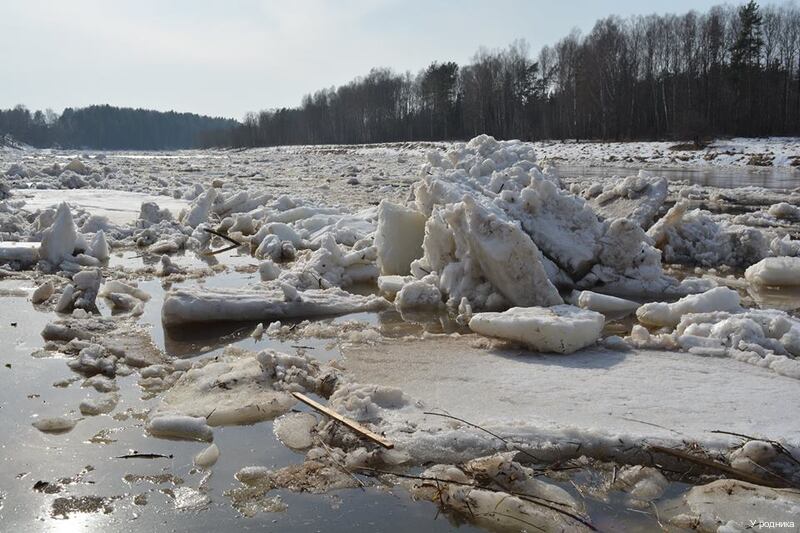 Фото У родника