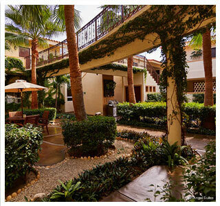 Гостиница San Angel Suites в Кабо-Сан-Лукас