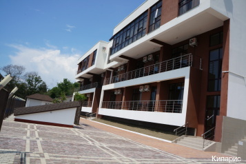 Фото Кипарис