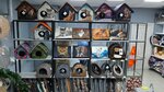 Zoodelo (Cherepovetskaya Street, 11/5), pet shop