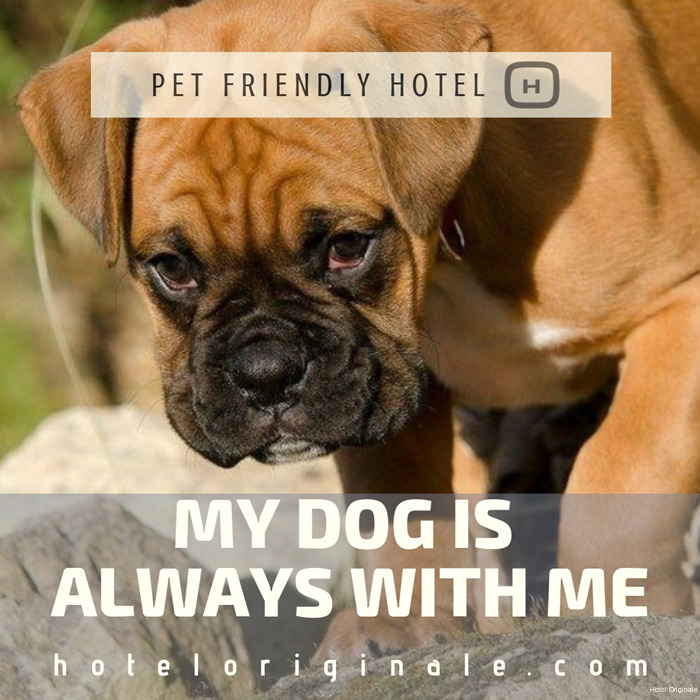 Фото Hotel Originale