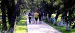 Amur Biological and Tourist Center (Magistralnaya Street, 37) ، التعليم الإضافي
