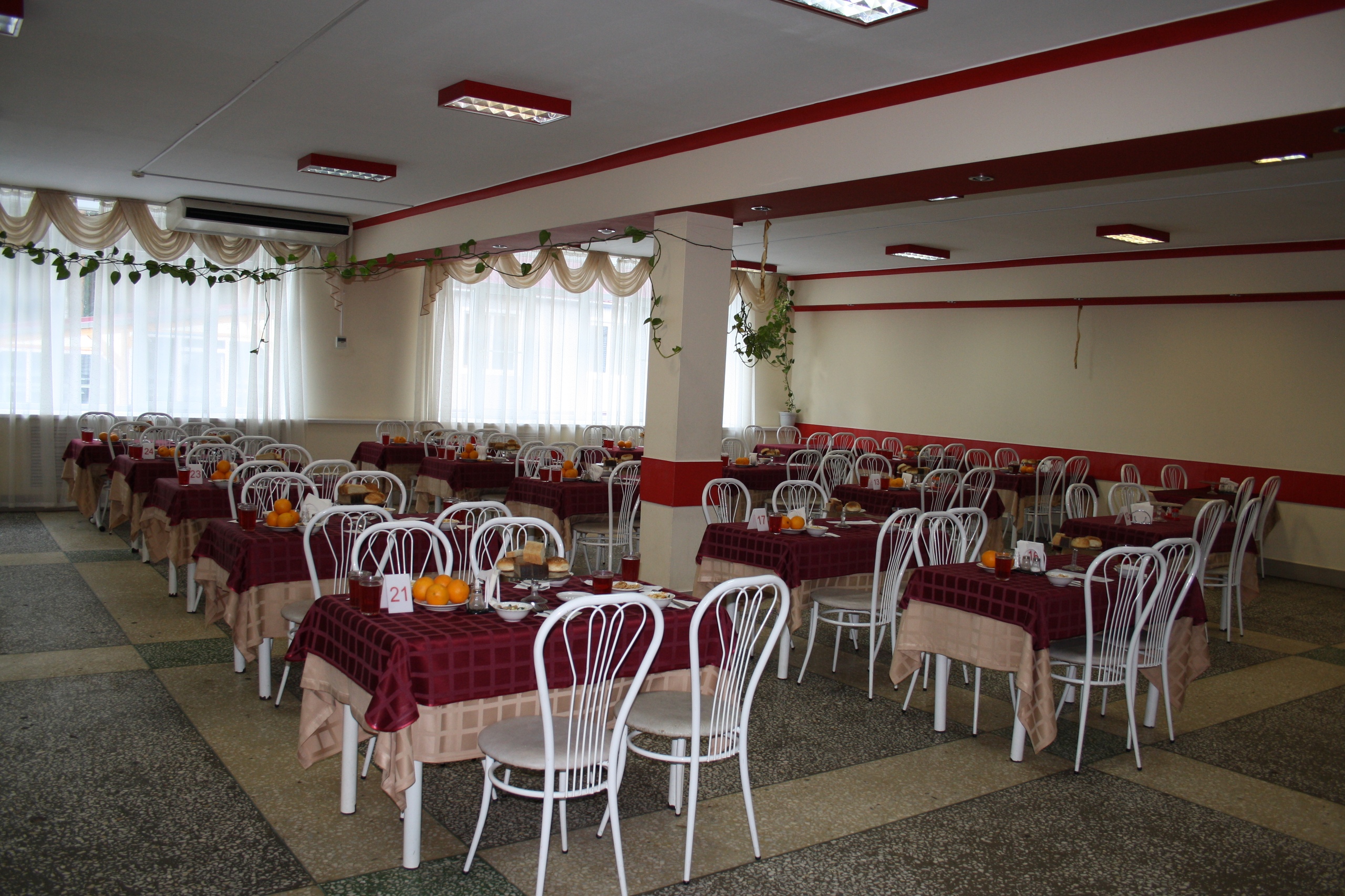 Фото Сосновый бор