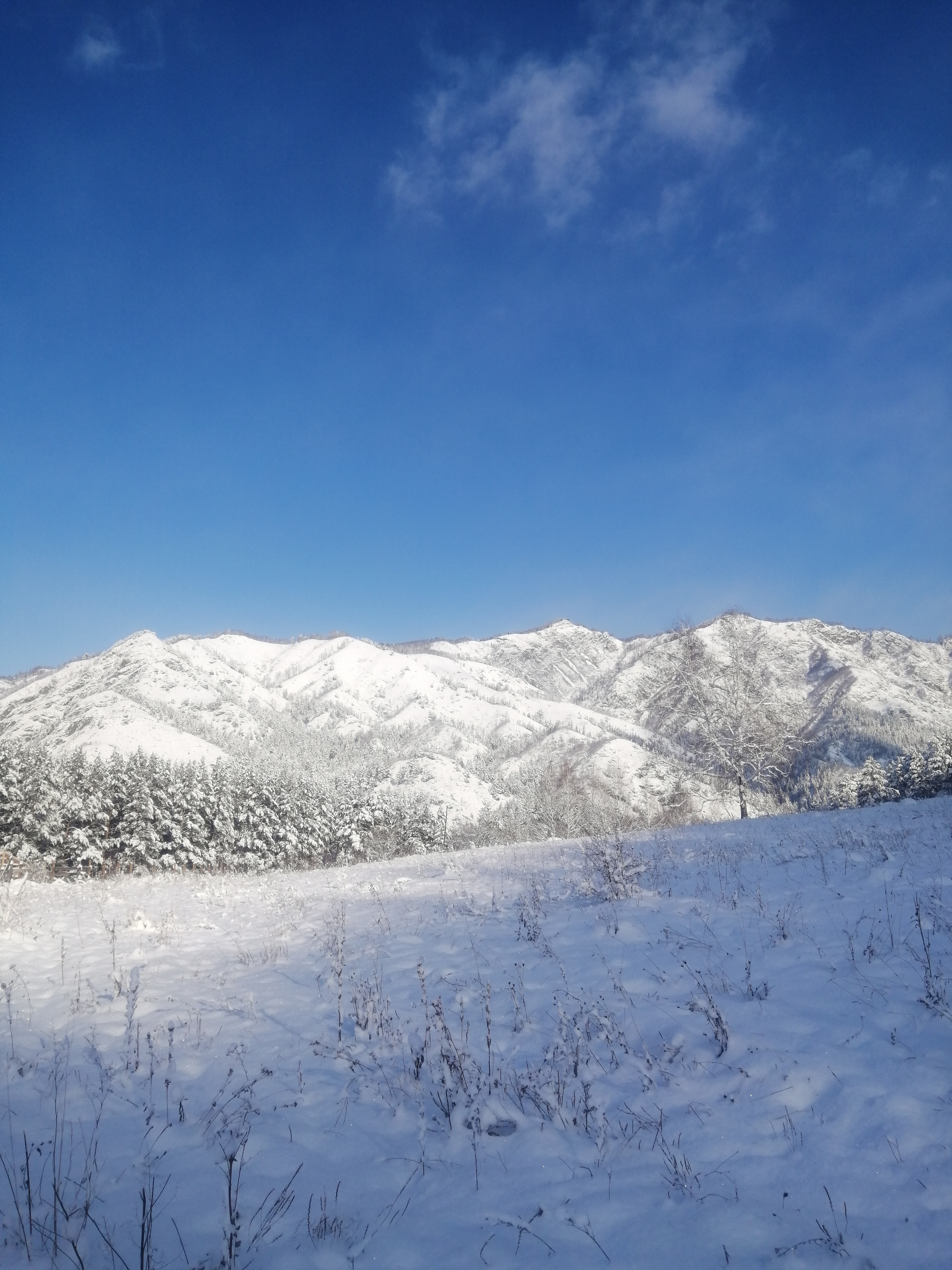 Фото Усадьба Чикмаревых