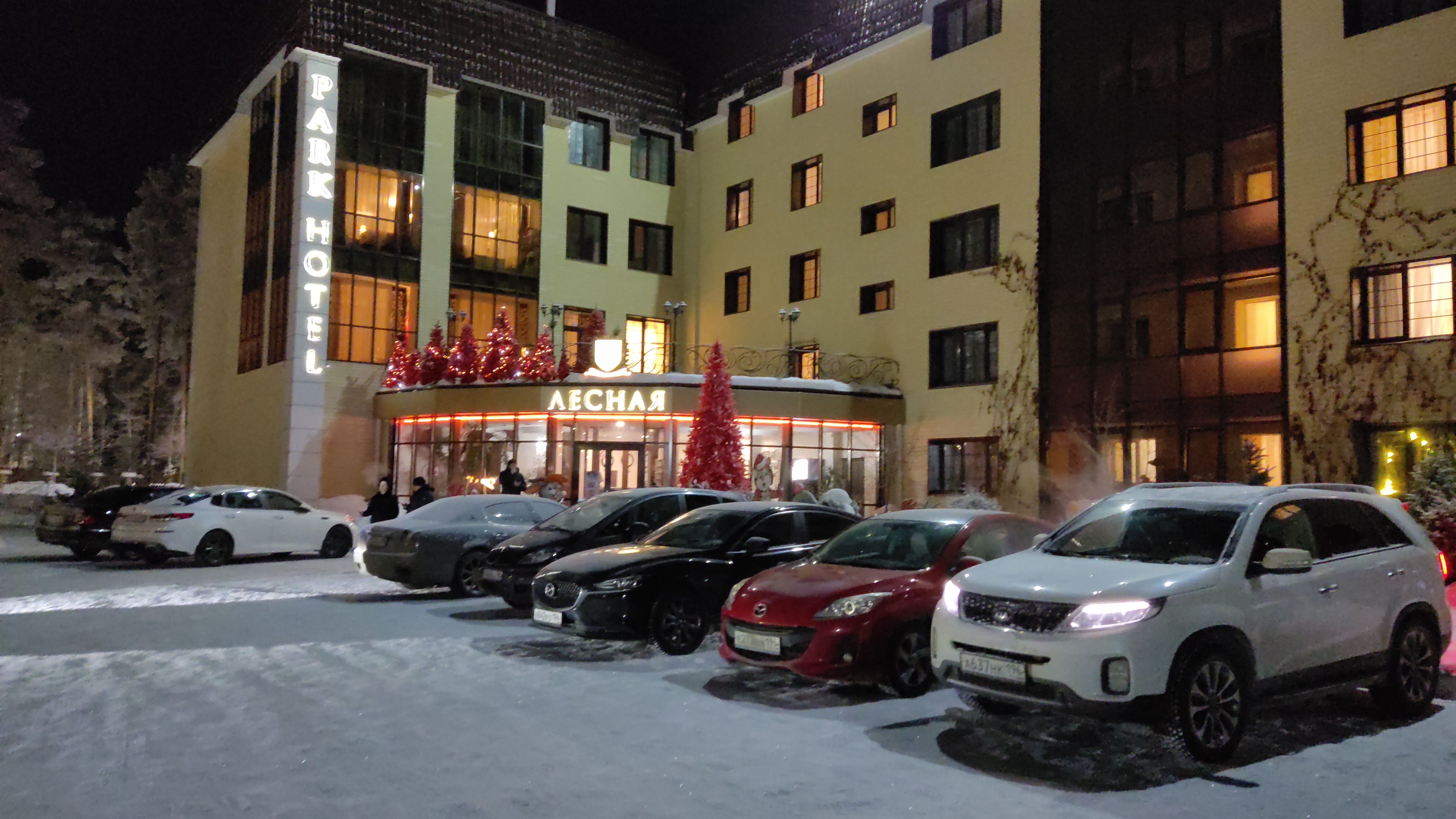 Фото Лесная