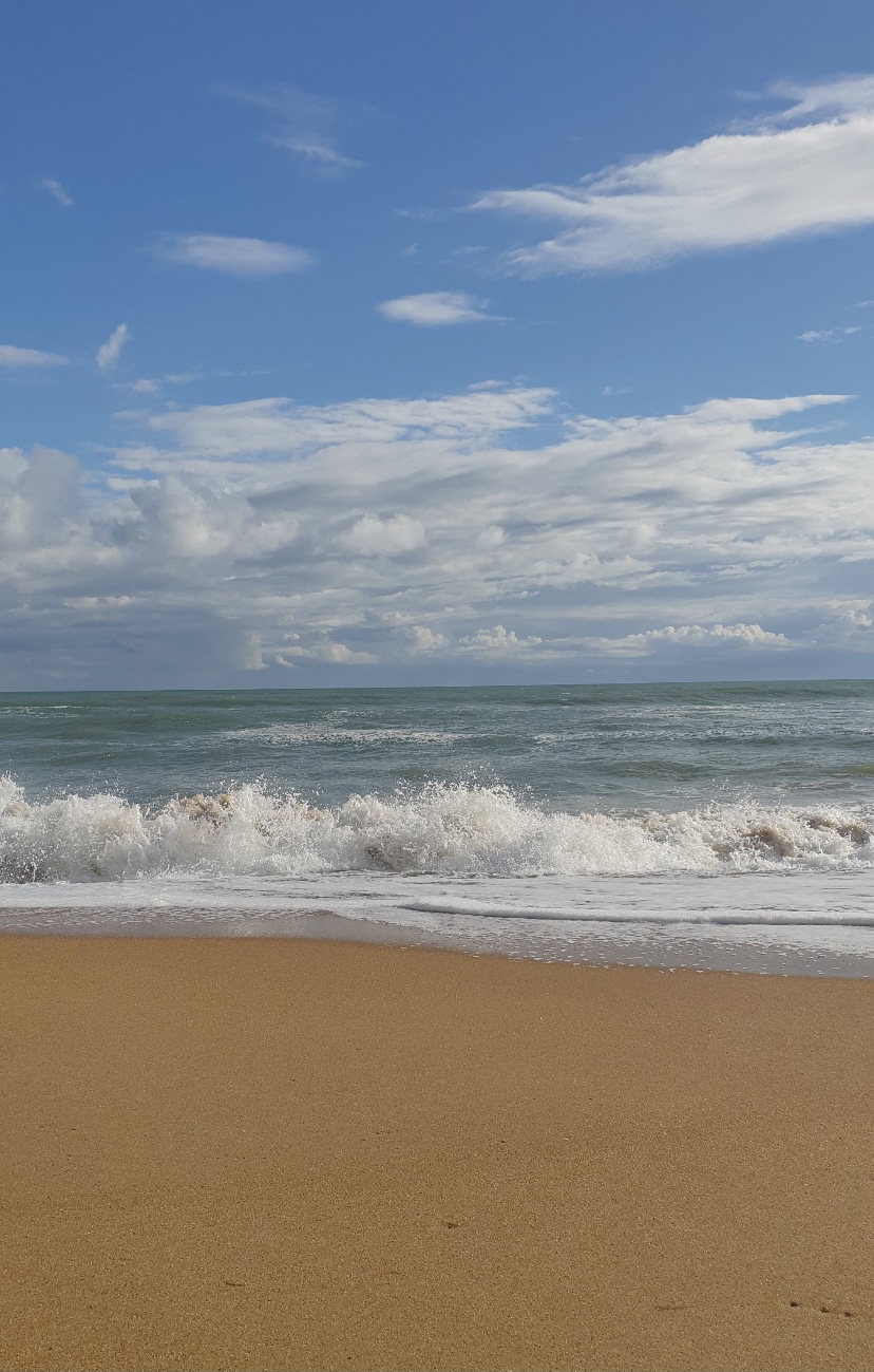 Фото Гостевой дом Тургенева 188