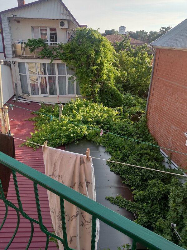 Константа — фото 3