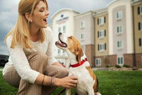 Гостиница Candlewood Suites Frisco в Фриско