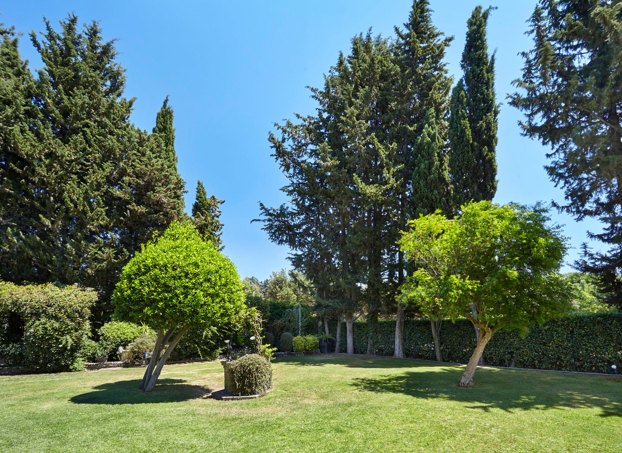 Фото Crowne Plaza Rome St Peter's