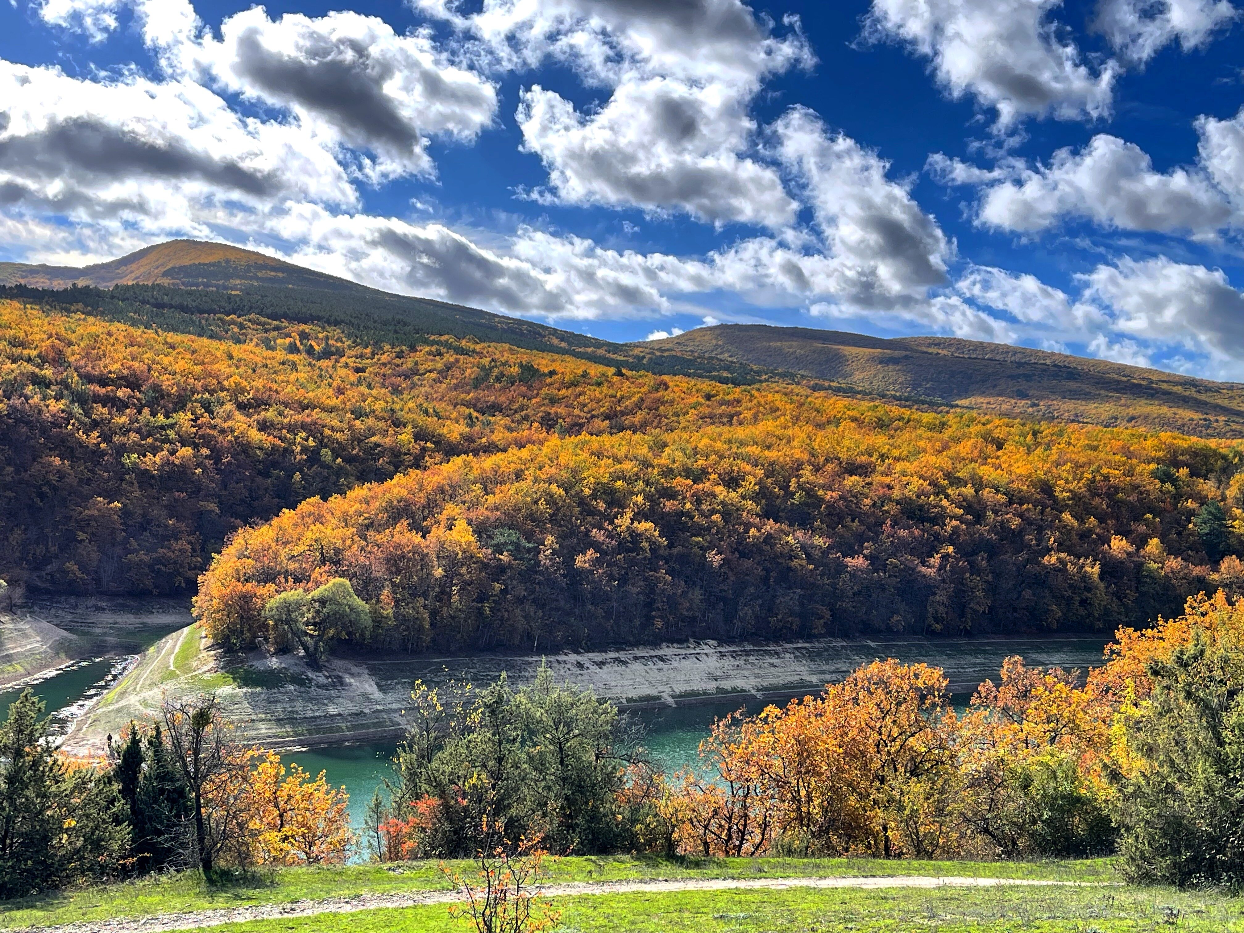 Фото Паганель