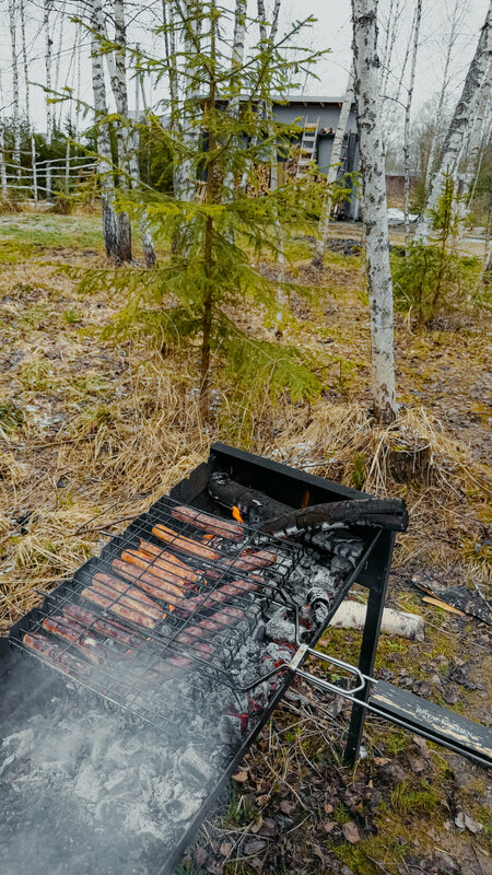 Состояния Лес — фото 4