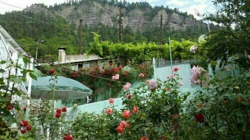 Guest House Green Rose - 14