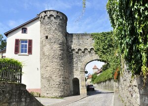 Гостиница Hotel Herberge zur Traube