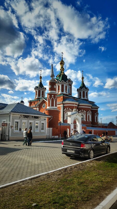 Подсолнухи — фото 49