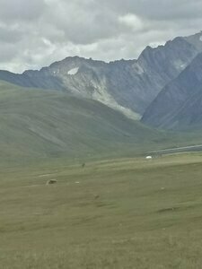 Altay Steppe — фото 44