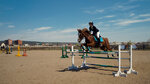 Detsky konno-sportivny klub Zolotoy mustang (Voronezhskaya ulitsa, 2), horse riding