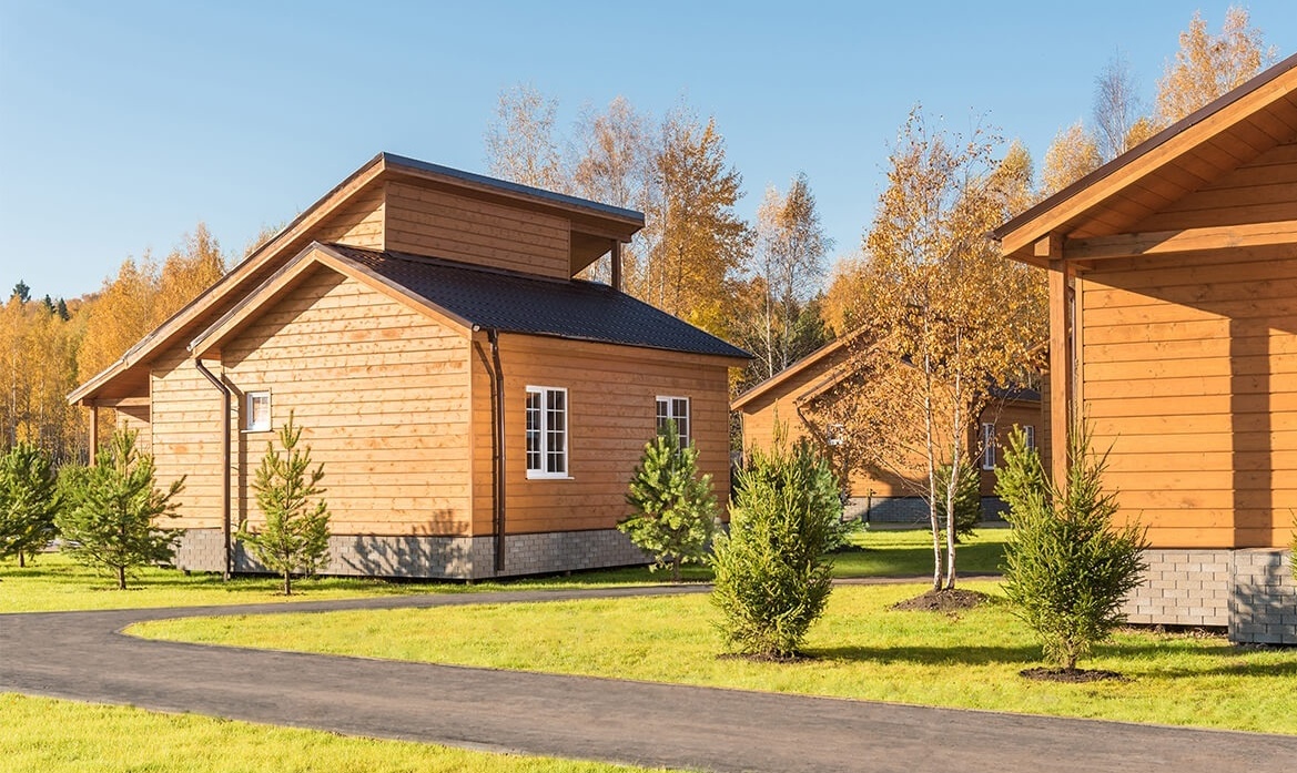 Фото Золотые Караси