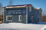 Нос по ветру (ул. Связи, 1А), ветеринарная клиника в Петрозаводске