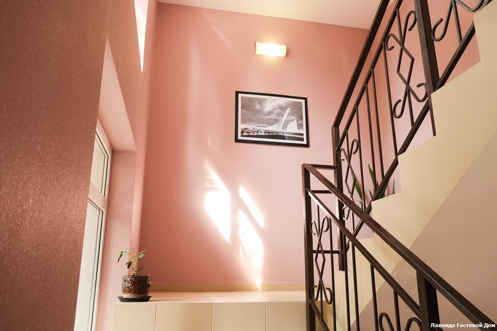 Фото Лаванда