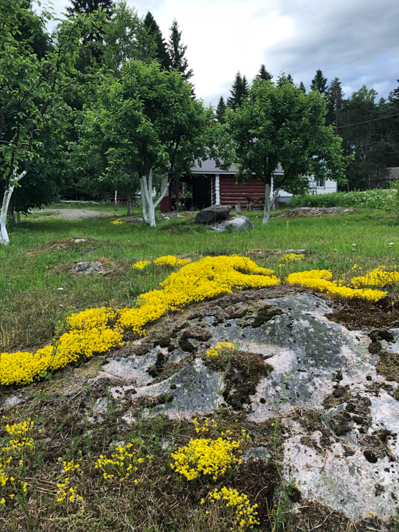 Фото Хуторок у Сан Саныча