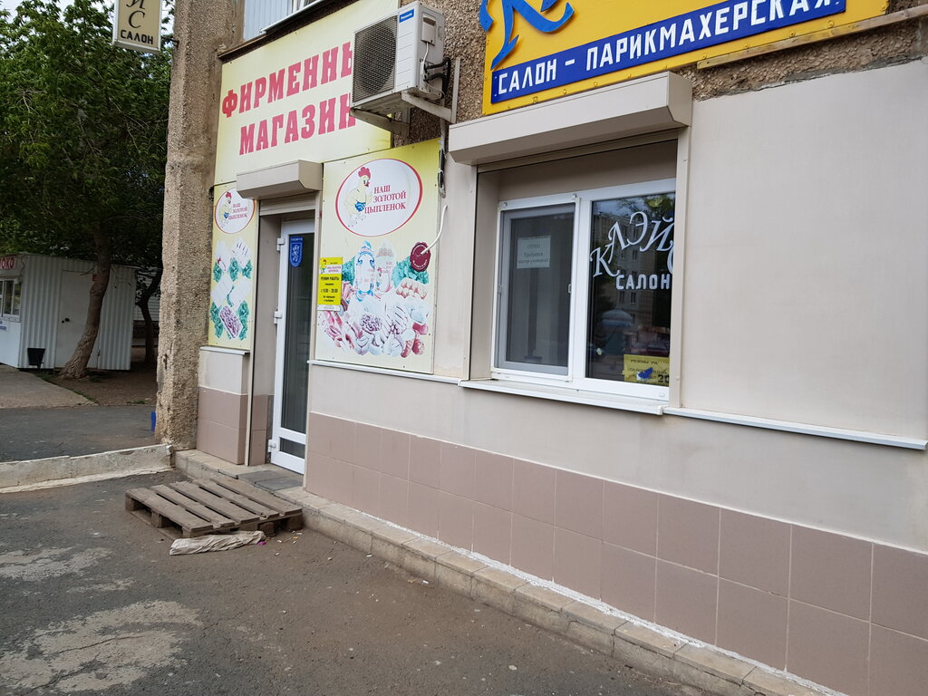 Магазин Золотой Цыпленок Оренбург