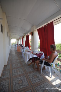 Фото Парадиз