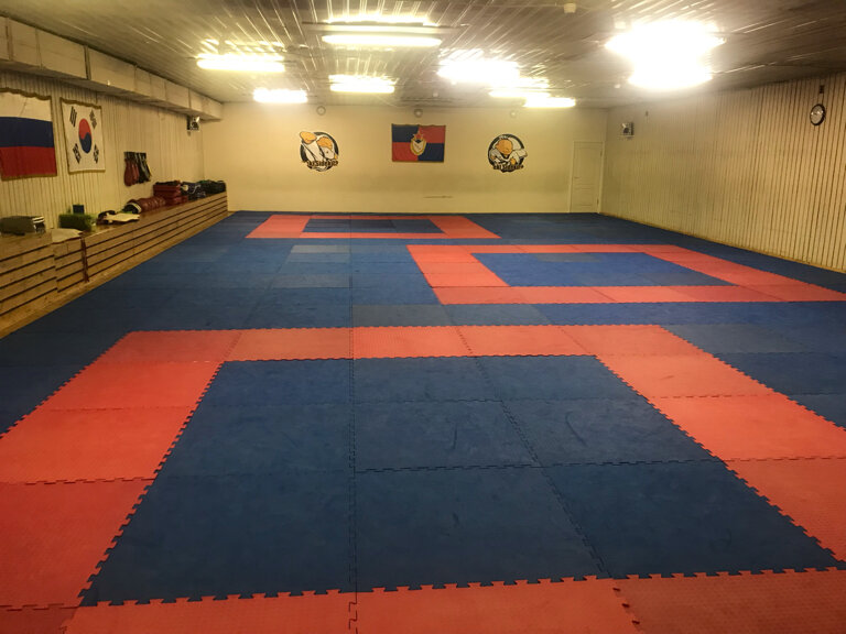 Sports club СШОР по единоборствам, отделение Тхэквондо, Moscow, photo