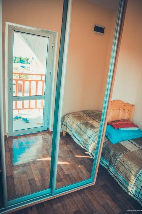 Фото Дельфиниум