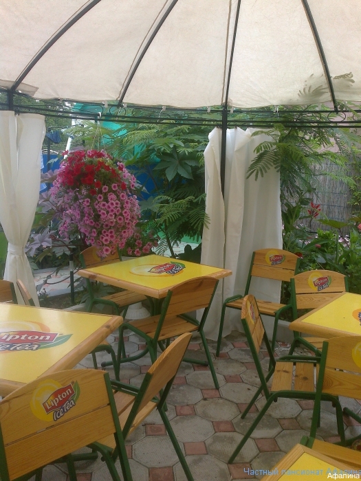 Фото Афалина