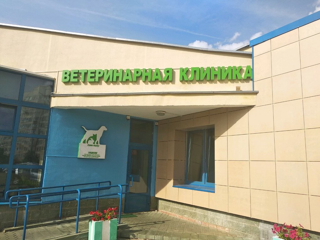 Ветеринарная клиника Айбивет, Минск, фото