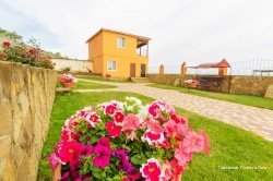 Фото Планета Лета