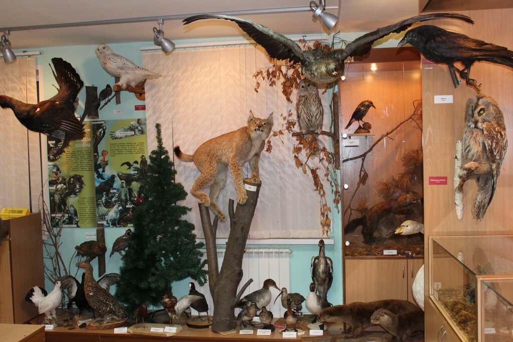 Museo Krayevedchesky muzey Shegarskogo rayona, , foto