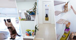 4Cats (Mytninskaya Street, 26) ، فندق للحيوانات الأليفة