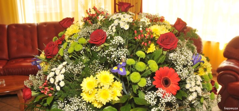 Фото Барракуда на улице Тюленина 5 